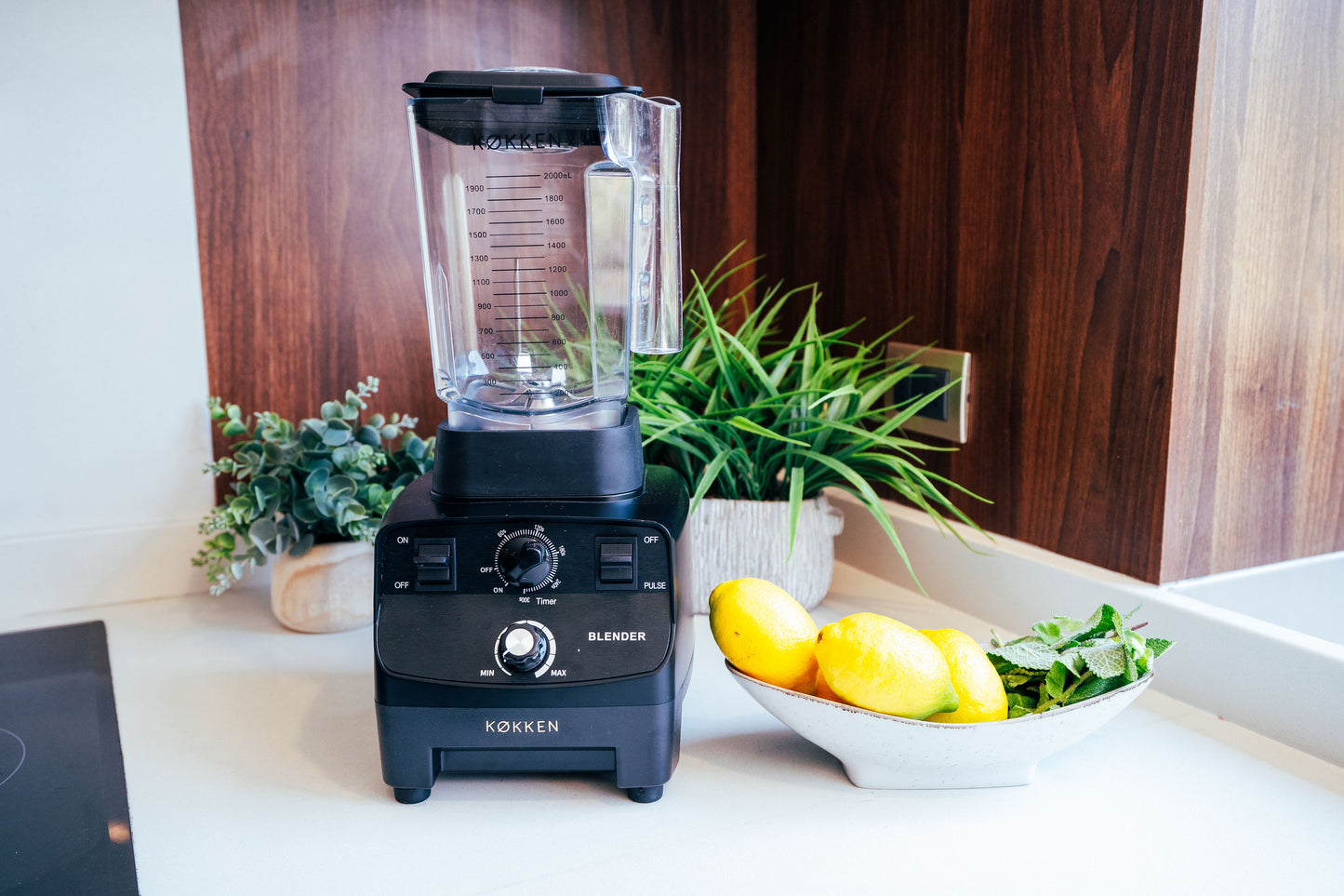 Licuadora  Industrial LI-1500 2L