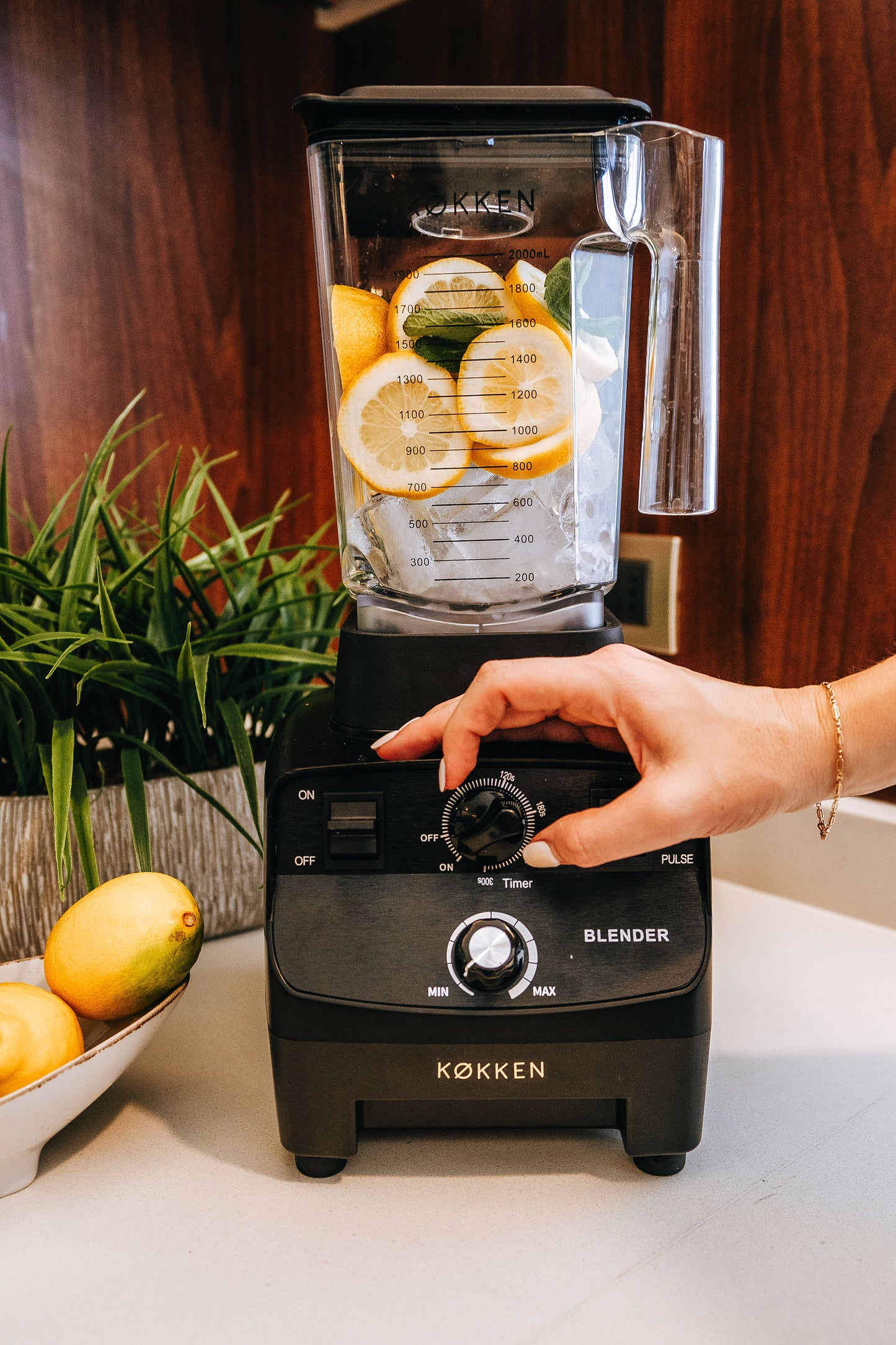 Licuadora  Industrial LI-1500 2L